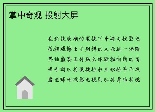 掌中奇观 投射大屏