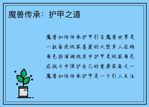 魔兽传承：护甲之道